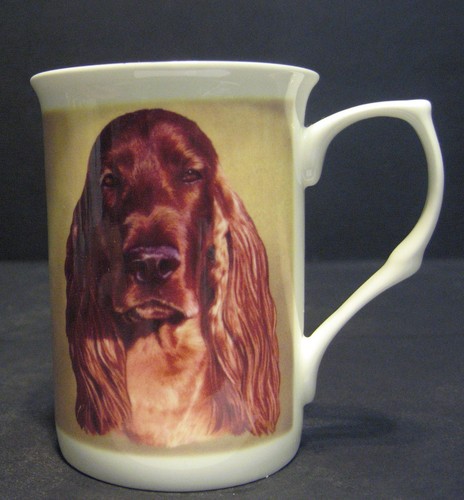 Irish setter dog fine bone - setter,