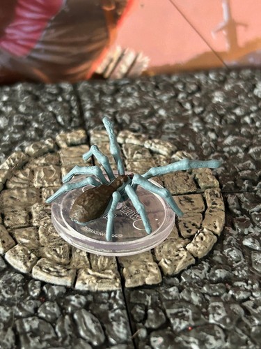 Wolf spider miniature - wolf,
