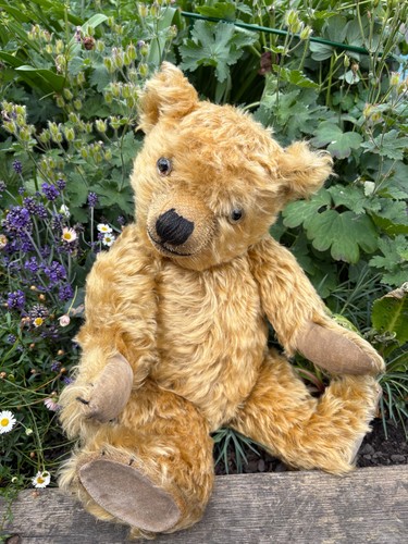 Antique chiltern teddy bear - chiltern,