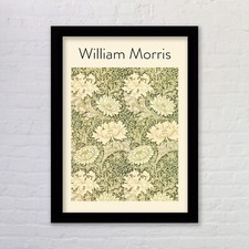 Framed Chrysanthemum by