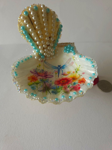 Unmarked shell ornament - unmarked,