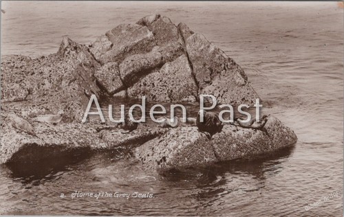 Vintage rppc home grey - of,