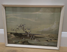 Frightened oyster catchers