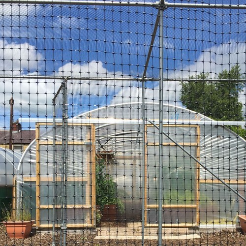 Rigid fruit cage - rigid,