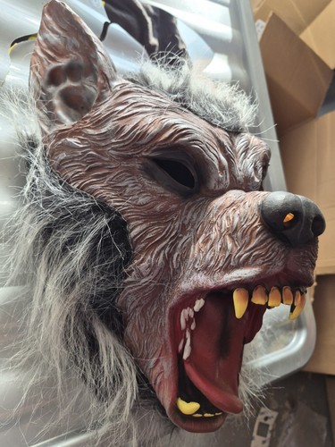 Adults fancy dress - dress, werewolf