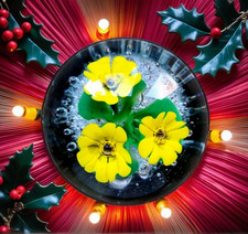 MURANO PAPERWEIGHT Primula