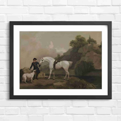 Vintage white horse - vintage, art