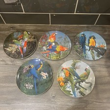 Set of 5 Wedgwood Fragile Paradise Plates Macaws Bone China B4*