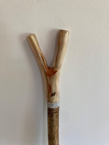 Rams horn thumb - horn, stick