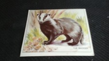 Sugar puffs  .Trade card. (