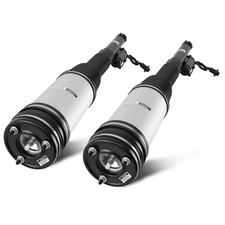 Rear Air Suspension Strut