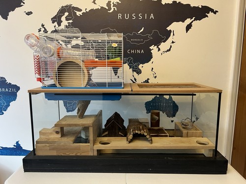 Large bespoke gerbilarium cage