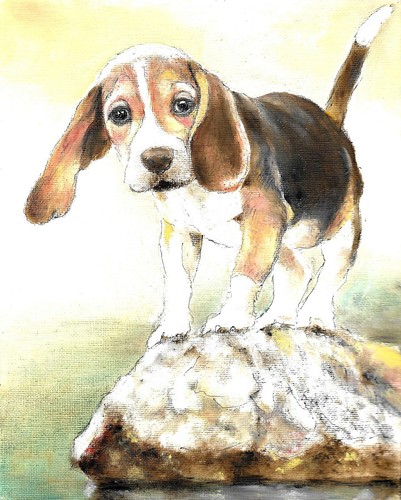 Original oil dog portrait - original,