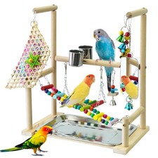 Parrot Stand With Mirror
