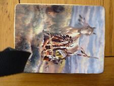 franklin mint indian worrior collection