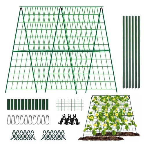 Frame garden cucumber - a,