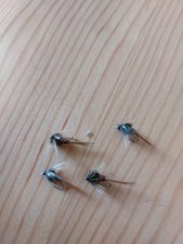 Cruncher Flies Silver Flash