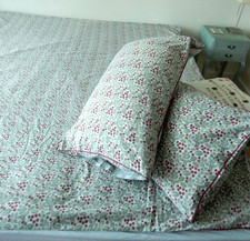 Sainsburys Duvet Cover & 2 Pillowcases Set Double LEAVES & BERRIES & STRIPES