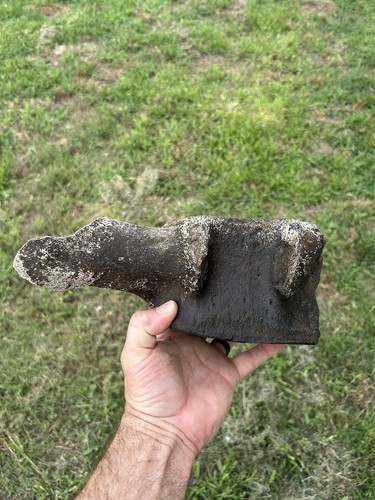 Very large whale vertebrae - large,