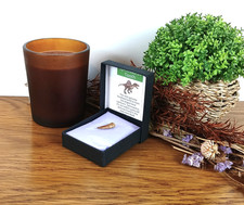 100% Genuine Spinosaurus Tooth