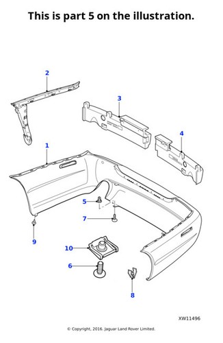 Jaguar nut pace - jaguar,
