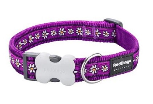 Red dingo purple daisy chain - red,