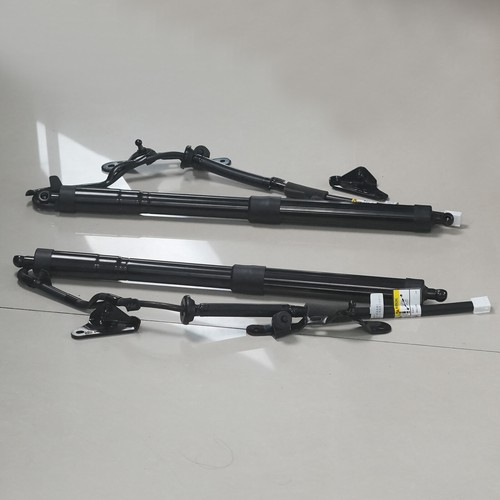 Genuine rear electric - rear,