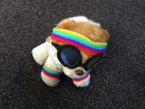 Gund exercise boo - boo, pomeranian