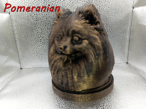 Pomeranian bust - pomeranian,
