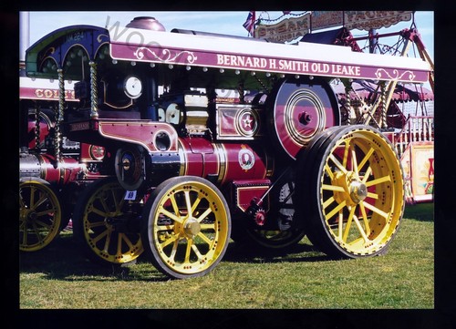 Tz1253 showman traction - -,