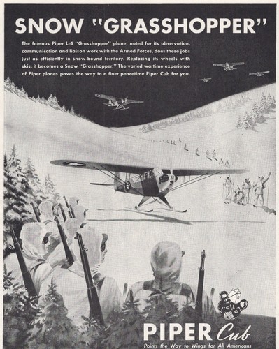 Piper cub snow grasshopper - piper,