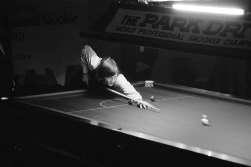 Alex higgins the - alex,
