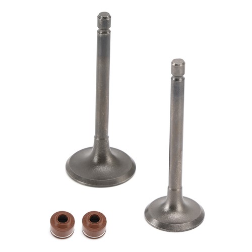Head intake exhaust valves - head,