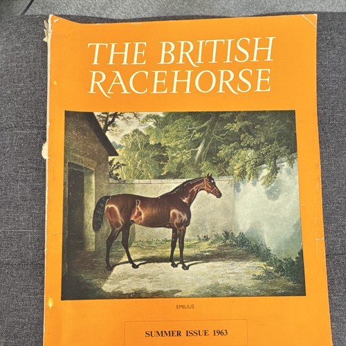 The british racehorse summer - british,