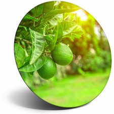 Awesome Fridge Magnet - Citrus Fruits Lime Tree Fruit Cool Gift #16699