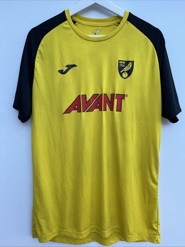 Norwich city football - city,