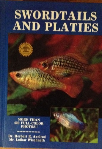 Swordtails and platies - and,