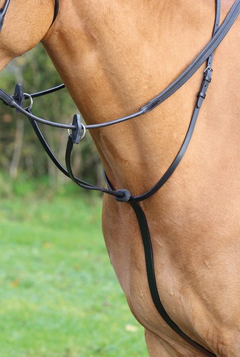 Shires aviemore running - aviemore,