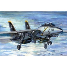 Trumpeter TM03202 F-14B Tomcat