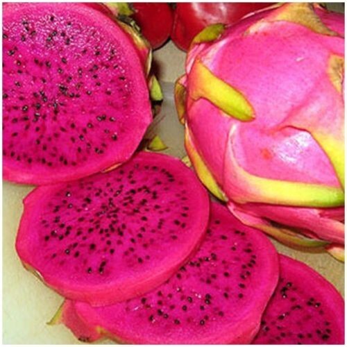 Juicy delicious - juicy,
