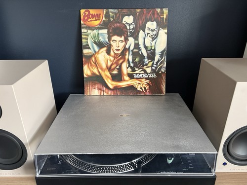 David bowie diamond dogs - bowie,