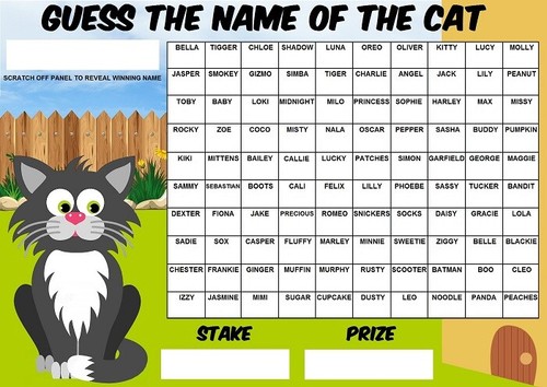 Guess the name cat - guess,