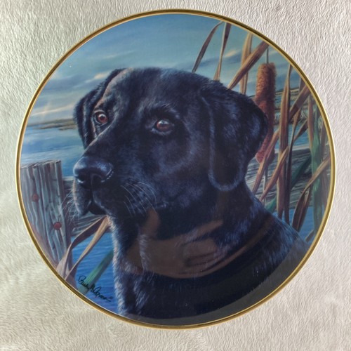 Man best friend plate black - man's,