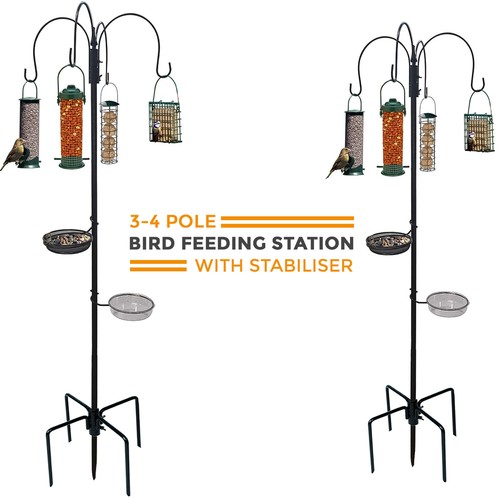 Wild bird garden - wild, feeding