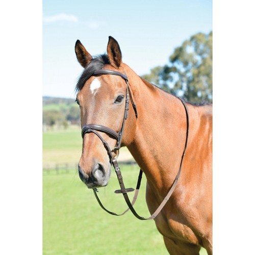 Kincade classic plain raised - classic,