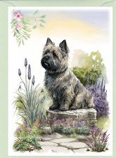 Cairn Terrier Dog Greetings Card. Front of card can be personalised
