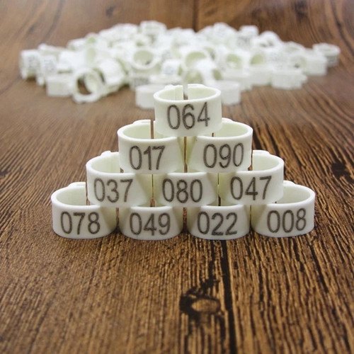 100pcs 8mm bird - leg, rings