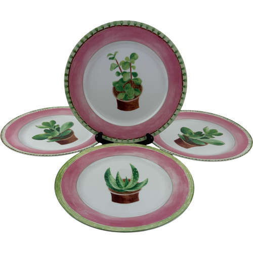 Mikasa cactus breakfast - cactus,