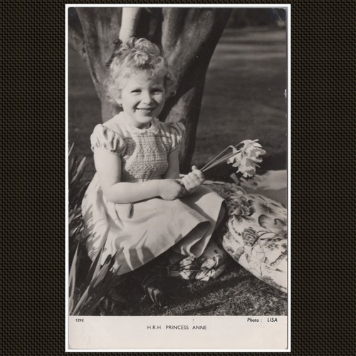 Princess anne raphael - princess,