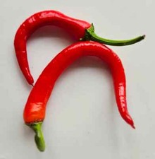 20 Corbaci Chilli Seeds. UK